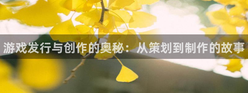 陕西db电竞子文化创意骗局：游戏发行与创作的奥秘：从策划到制作的故事