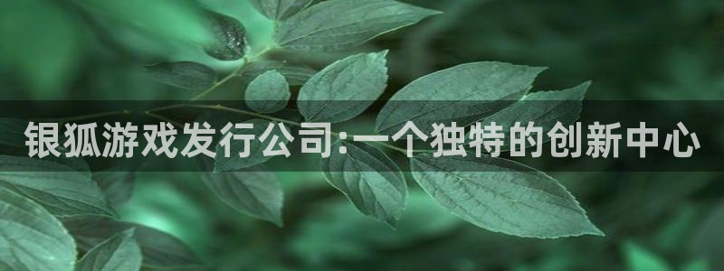 db电竞官网分红：银狐游戏发行公司:一个独特的创新中心