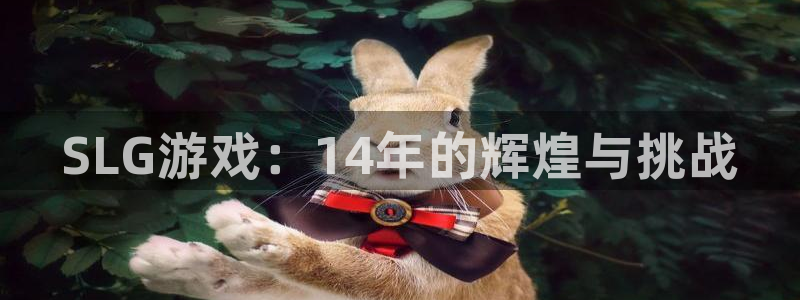 db电竞子图片：SLG游戏：14年的辉煌与挑战
