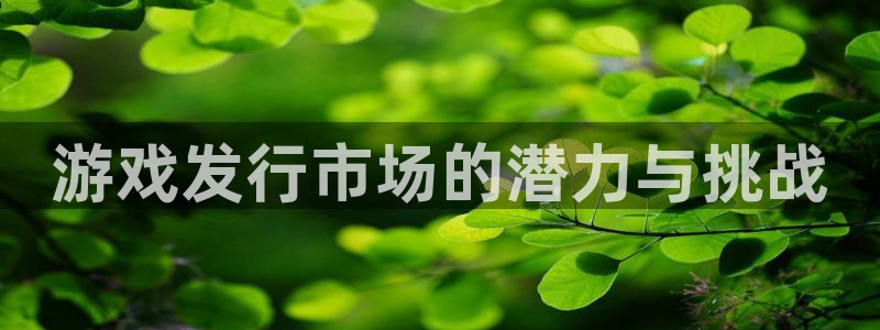 东莞db电竞信息科技有限公司：游戏发行市场的潜力与挑战