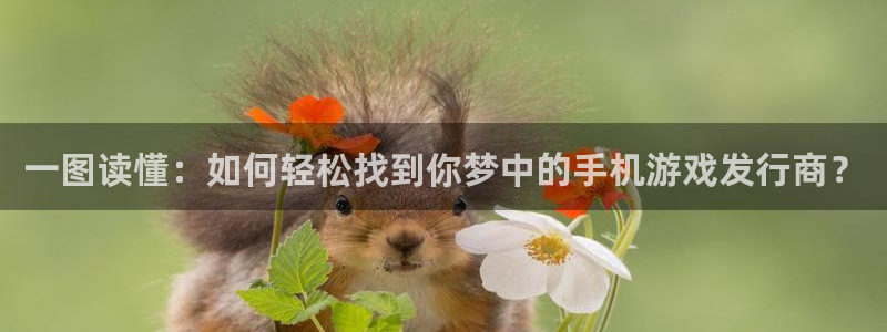 db电竞官网注册地址：一图读懂：如何轻松找到你梦中的手机游戏发行商？