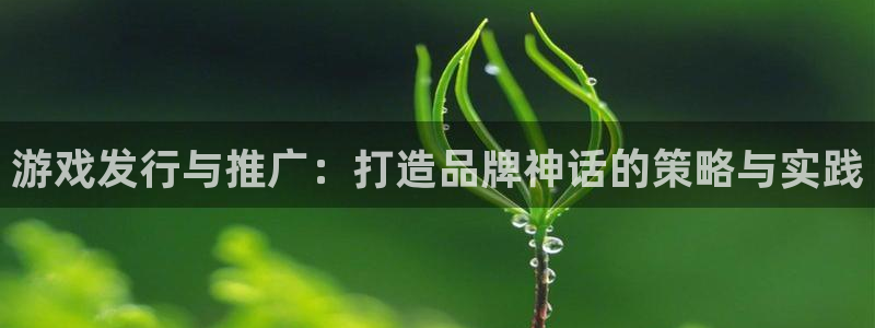 db电竞技术有限公司官网：游戏发行与推广：打造品牌神话的策略与实践