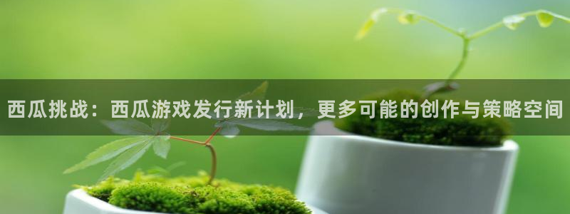 db电竞官网下载分分彩：西瓜挑战：西瓜游戏发行新计划，更多可能的创作与策略空间