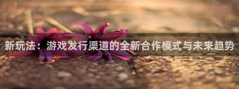 db电竞集团有限公司：新玩法：游戏发行渠道的全新合作模式与未来趋势