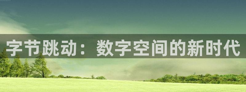 db电竞官网登录注册失败怎么办：字节跳动：数字空间的新时代