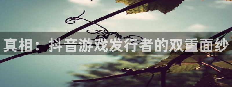 db电竞庄园