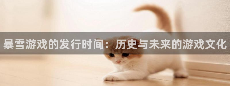 db电竞电子商务有限公司怎么样啊：暴雪游戏的发行时间：历史与未来的游戏文化
