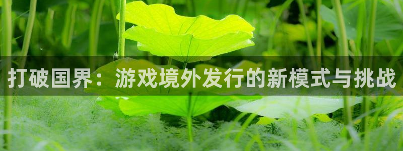 db电竞子代表什么意思：打破国界：游戏境外发行的新模式与挑战