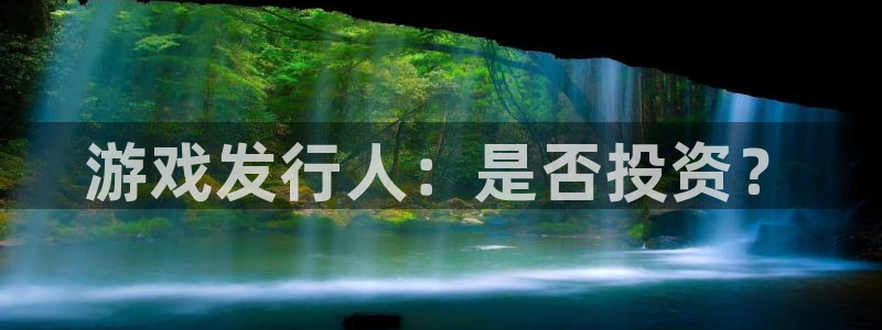 db电竞集团有限公司：游戏发行人：是否投资？
