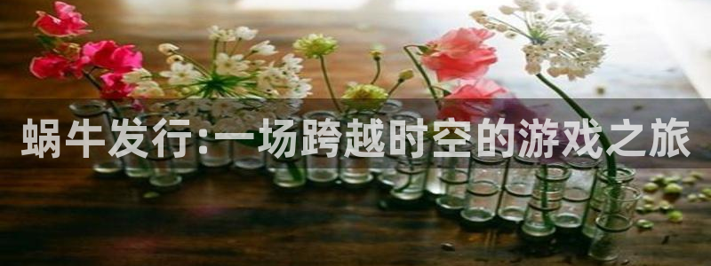 db电竞电子商务有限公司招聘：蜗牛发行:一场跨越时空的游戏之旅