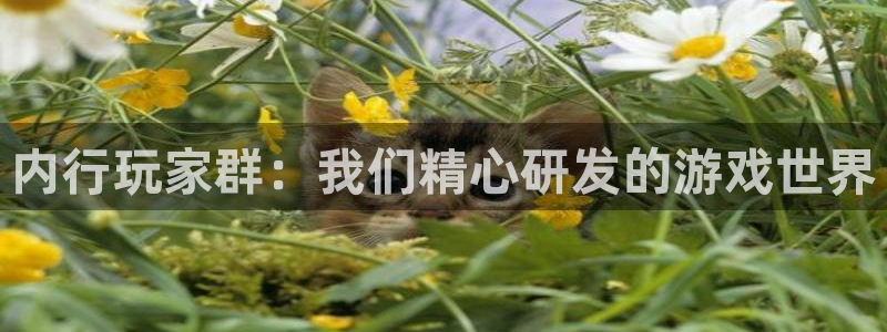 db电竞官网主管联3.7.9.9.7 主管