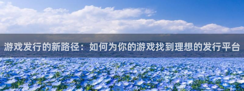 广州db电竞运动服：游戏发行的新路径：如何为你的游戏找到理想的发行平台