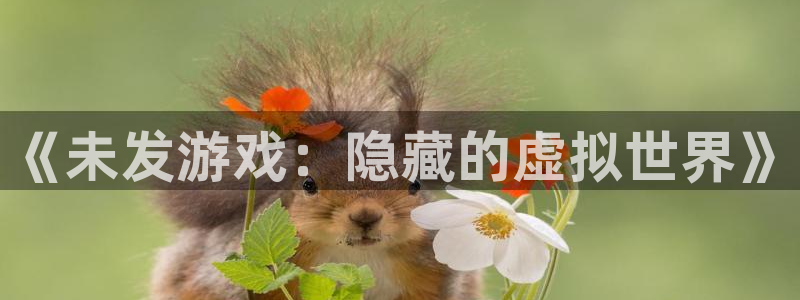 db电竞子音乐：《未发游戏：隐藏的虚拟世界》