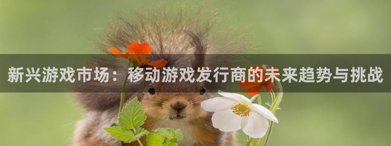 db电竞技术有限公司怎么样